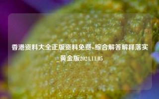 香港资料大全正版资料免费w综合解答解释落实_黄金版2024.11.05