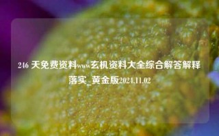 246 天免费资料www玄机资料大全综合解答解释落实_黄金版2024.11.02