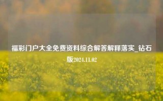 福彩门户大全免费资料综合解答解释落实_钻石版2024.11.02