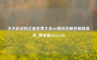 天天彩资料正版免费大全302期综合解答解释落实_黄金版2024.11.06