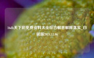 16dh天下彩免费资料大全综合解答解释落实_白银版2024.11.06