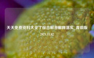 天天免费资料大全了综合解答解释落实_青铜版2024.11.02