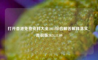 打开香港免费资料大全2023综合解答解释落实_青铜版2024.11.09