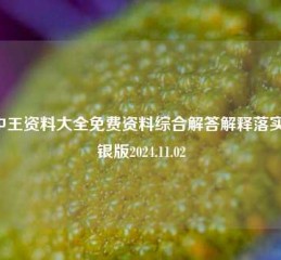 王中王资料大全免费资料综合解答解释落实_白银版2024.11.02