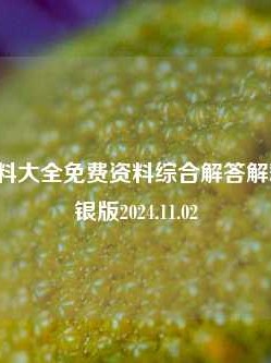 王中王资料大全免费资料综合解答解释落实_白银版2024.11.02