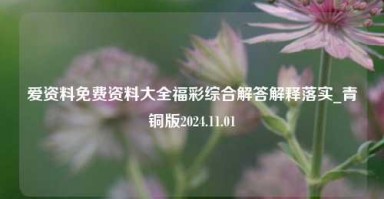 爱资料免费资料大全福彩综合解答解释落实_青铜版2024.11.01