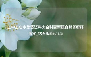 王中王心水免费资料大全料更新综合解答解释落实_钻石版2024.11.02