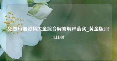 免费每期资料大全综合解答解释落实_黄金版2024.11.08