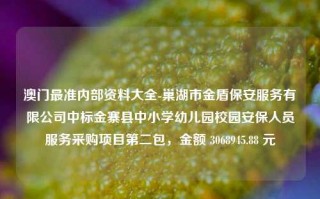 澳门最准内部资料大全-巢湖市金盾保安服务有限公司中标金寨县中小学幼儿园校园安保人员服务采购项目第二包，金额 3068945.88 元