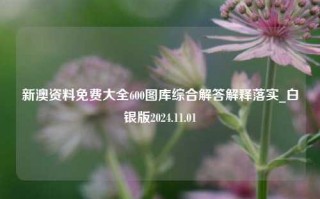 新澳资料免费大全600图库综合解答解释落实_白银版2024.11.01