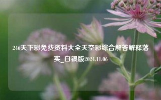 246天下彩免费资料大全天空彩综合解答解释落实_白银版2024.11.06