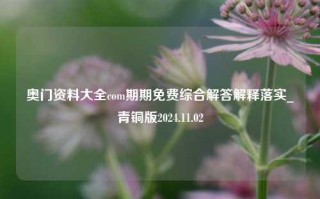 奥门资料大全com期期免费综合解答解释落实_青铜版2024.11.02