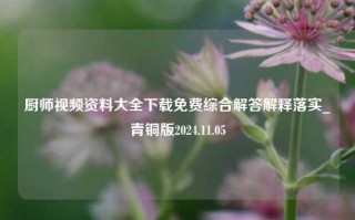 厨师视频资料大全下载免费综合解答解释落实_青铜版2024.11.05