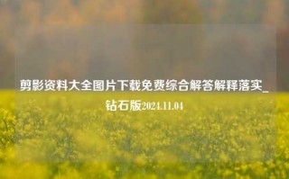 剪影资料大全图片下载免费综合解答解释落实_钻石版2024.11.04