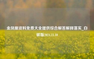 金凤凰资料免费大全提供综合解答解释落实_白银版2024.11.10