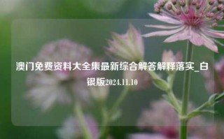 澳门免费资料大全集最新综合解答解释落实_白银版2024.11.10