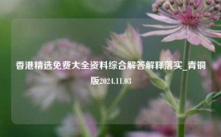 香港精选免费大全资料综合解答解释落实_青铜版2024.11.03