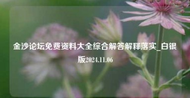 金沙论坛免费资料大全综合解答解释落实_白银版2024.11.06