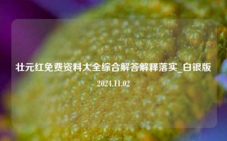 壮元红免费资料大全综合解答解释落实_白银版2024.11.02