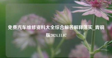 免费汽车维修资料大全综合解答解释落实_青铜版2024.11.07