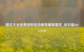 报关大全免费资料综合解答解释落实_钻石版2024.11.03