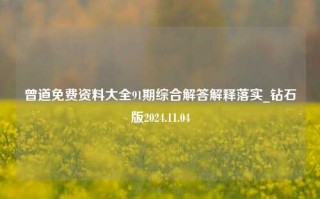 曾道免费资料大全91期综合解答解释落实_钻石版2024.11.04