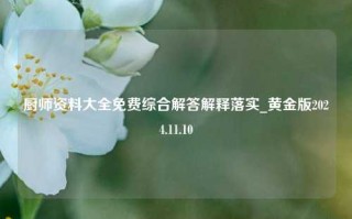 厨师资料大全免费综合解答解释落实_黄金版2024.11.10