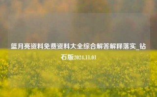 篮月亮资料免费资料大全综合解答解释落实_钻石版2024.11.01