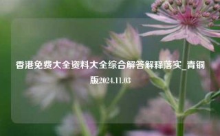 香港免费大全资料大全综合解答解释落实_青铜版2024.11.03