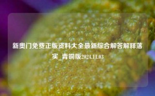 新奥门免费正版资料大全最新综合解答解释落实_青铜版2024.11.03