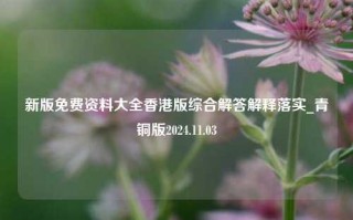 新版免费资料大全香港版综合解答解释落实_青铜版2024.11.03