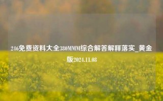 246免费资料大全380MMM综合解答解释落实_黄金版2024.11.08