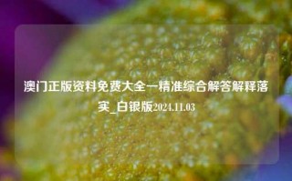 澳门正版资料免费大全一精准综合解答解释落实_白银版2024.11.03