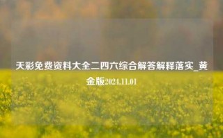 天彩免费资料大全二四六综合解答解释落实_黄金版2024.11.01