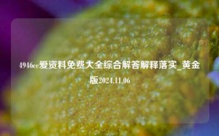 4946cc爱资料免费大全综合解答解释落实_黄金版2024.11.06