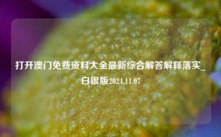 打开澳门免费资料大全最新综合解答解释落实_白银版2024.11.07