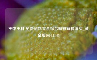 王中王料 免费资料大全综合解答解释落实_黄金版2024.11.05