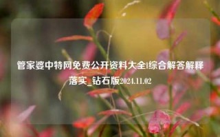 管家婆中特网免费公开资料大全l综合解答解释落实_钻石版2024.11.02