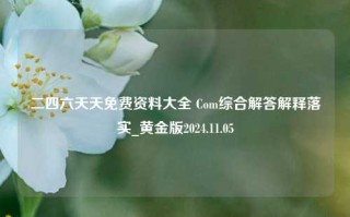 二四六天天免费资料大全 Com综合解答解释落实_黄金版2024.11.05