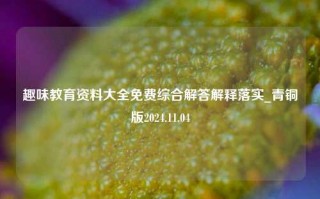 趣味教育资料大全免费综合解答解释落实_青铜版2024.11.04