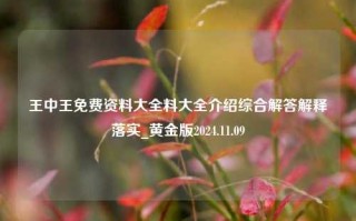 王中王免费资料大全料大全介绍综合解答解释落实_黄金版2024.11.09