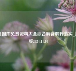 四九图库免费资料大全综合解答解释落实_黄金版2024.11.10