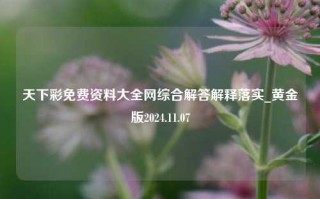 天下彩免费资料大全网综合解答解释落实_黄金版2024.11.07