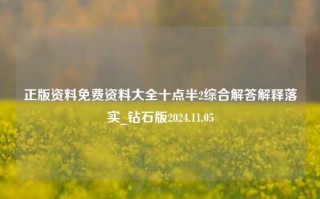 正版资料免费资料大全十点半2综合解答解释落实_钻石版2024.11.05