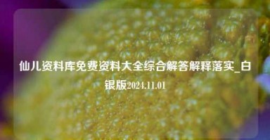 仙儿资料库免费资料大全综合解答解释落实_白银版2024.11.01