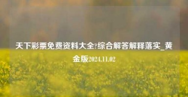 天下彩票免费资料大全?综合解答解释落实_黄金版2024.11.02