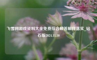 飞雪网游戏资料大全免费综合解答解释落实_钻石版2024.11.10