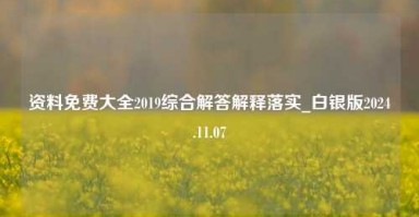 资料免费大全2019综合解答解释落实_白银版2024.11.07