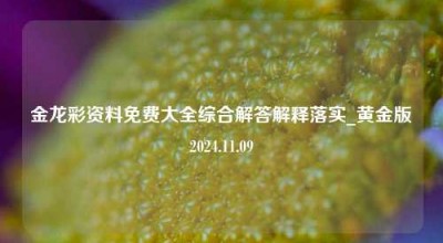 金龙彩资料免费大全综合解答解释落实_黄金版2024.11.09