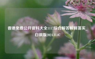 香港免费公开资料大全1117综合解答解释落实_白银版2024.11.07